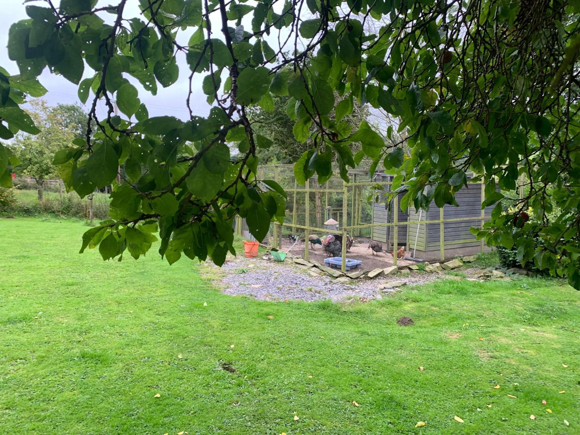 Stunning 2-Bed Cabin In Nantglyn Denbigh Esterno foto