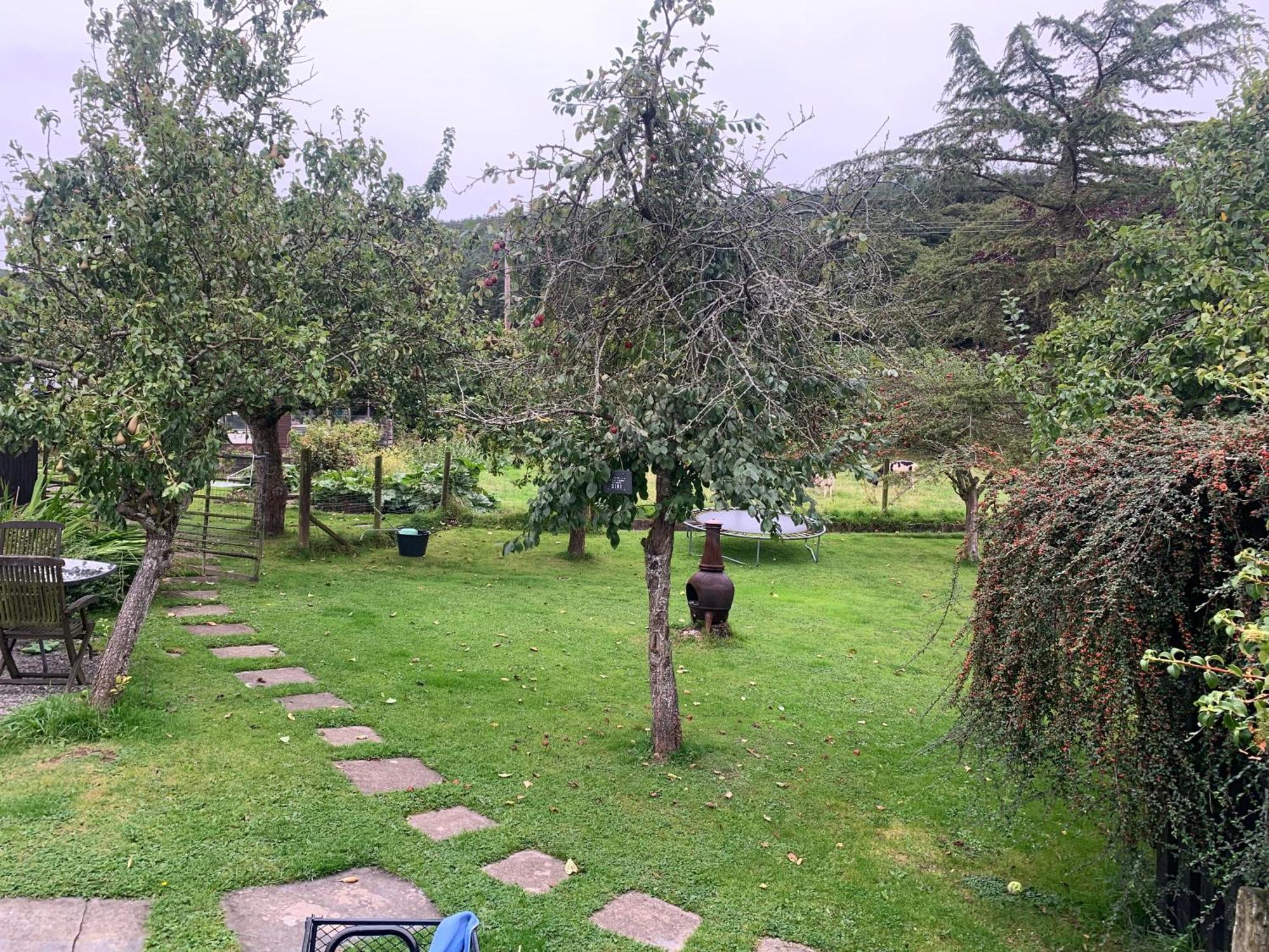 Stunning 2-Bed Cabin In Nantglyn Denbigh Esterno foto