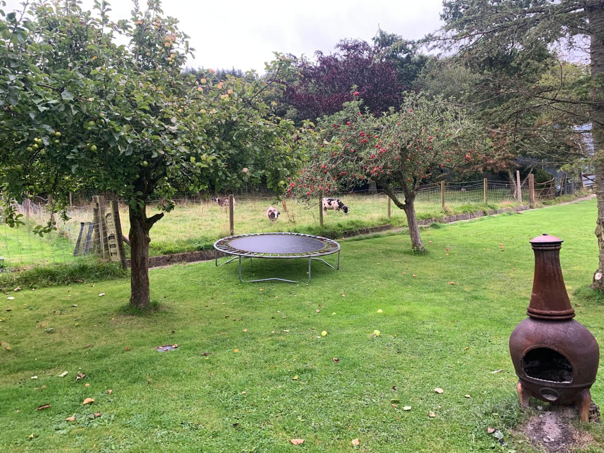 Stunning 2-Bed Cabin In Nantglyn Denbigh Esterno foto